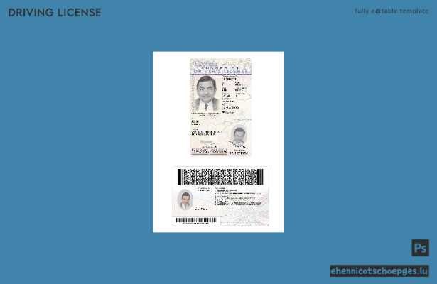 USA Virginia Führerschein unter 21 Jahren 2009-heute Beispielvorschau